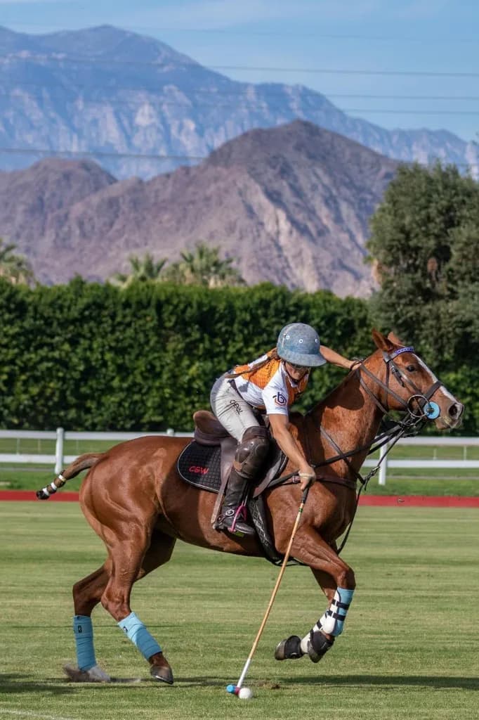 Apollo Team rider in a Tall Builders jersey reaching for the ball on a chestnut horse
